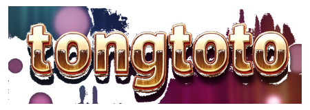 tongtoto logo